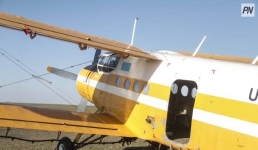 Павлодарцев попросили воздержаться от прогулок