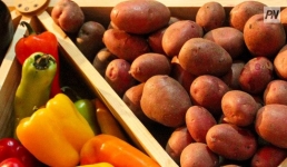 Сельхозярмарка в Павлодаре пройдет 22 июня