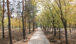 Кратковременный дождь ожидают в Павлодарской области 25 июня