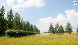 Чиновник из Павлодара выплатил штраф по цене пяти огнетушителей