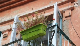 Павлодарский алиментщик едва не лишился крова