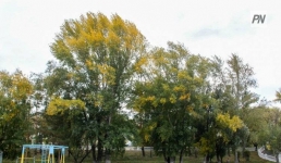 Дождь, град и шквальный ветер: погода в Павлодарской области 8 августа