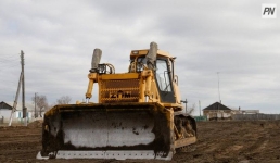 Павлодарец заплатит штраф за выкорчеванное дерево