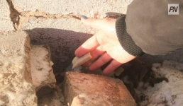 В Павлодарской области осудили 28 курьеров-закладчиков