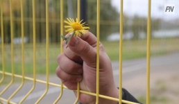 Карагандинцы потеснили павлодарцев в добрых делах