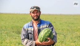 Павлодарские сёла покажут, чем богаты