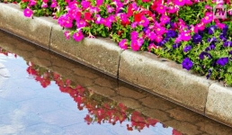 17 августа в Павлодарской области будет дождливо