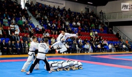 Сколько павлодарских детей прошли обучение по программе «Artsport»