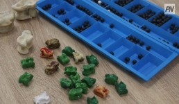 Стало известно, в каких видах спорта выступят павлодарцы в Играх кочевников