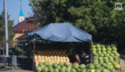 Павлодарцам рассказали, как выбрать безопасные арбуз и дыню