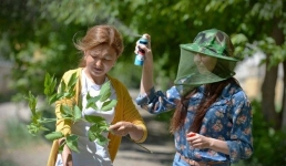 Жители Павлодарской области привыкают к жизни без комаров