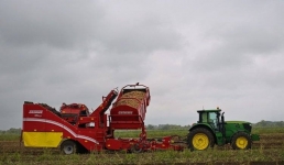 Непогода весной и летом: что поможет собрать павлодарскую картошку