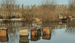 В Павлодаре владелец утонувшей во время паводков пасеки добился компенсации