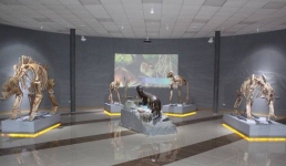 Павлодарцев с семьями пригласили в музей