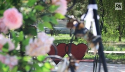 Павлодарцев поздравили с Днем семьи