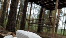 Павлодарские лесники подкормили животных солью