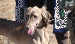 Павлодарские юные художники нарисуют тазы для конкурса