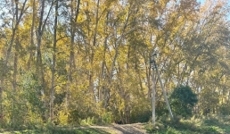 «World clean up day»: в Павлодаре прошел Всемирный день чистоты