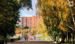 27 сентября в Павлодарской области не будет осадков