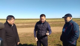 Главный павлодарский картофельный магнат сокращает посевы