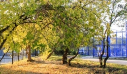 Тепло будет в Павлодарской области 1 октября