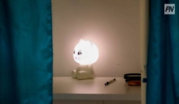 В кабинке двое: комиссия референдума разъяснила правила голосования