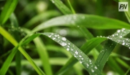 2 октября в Павлодарской области пройдет небольшой дождь