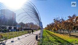 Тепло и без осадков: погода в Павлодарской области 4 октября