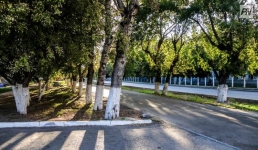 Павлодарцы расскажут, как сделать свой город чистым