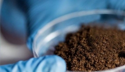 В Экибастузе и Аксу почву очистили от паразитов