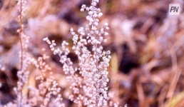 5 октября в Павлодарской области не будет осадков