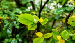 Небольшой дождь пройдет в Павлодарской области 7 октября