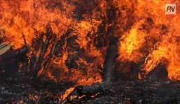 Баянаульский пожар: фермеров призвали проверить технику