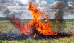 Помощь баянаульским пожарным прибыла из соседних регионов