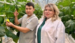 Павлодарский колледж готов восполнить дефицит специалистов теплиц