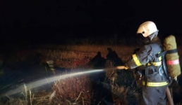 В Павлодарской области птица стала причиной степного пожара