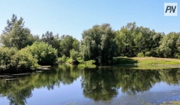 В Павлодаре назвали самое грязное место