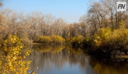 Туманно будет в Павлодарской области 15 октября