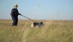 Павлодарский кинолог рассказала о службе в ЧС