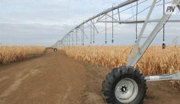 В Теренколе оценили урожай нетипичных для района культур