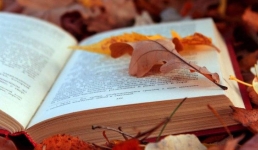 Павлодарских библиотекарей пригласили на форум