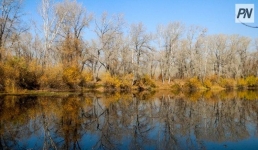 Дождливо будет в Павлодарской области 23 октября