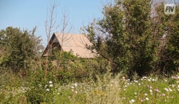 Меньше одного процента очередников в Павлодарской области получили землю