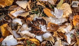 Дождь со снегом ожидают в Павлодарской области 28 октября