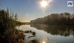 Туман и гололед ожидают в Павлодарской области 29 октября