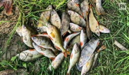 В Успенском районе поймали рыбаков-браконьеров