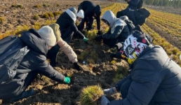 В Павлодарской области студенты озеленяли лесничество