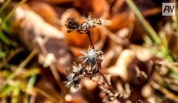 Какая погода будет в Павлодарской области в первый день ноября