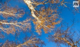 Снежную неделю спрогнозировали в Павлодарской области