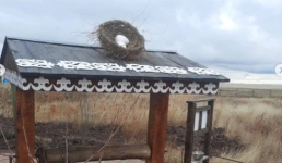 Художники Экибастуза преобразили святой источник